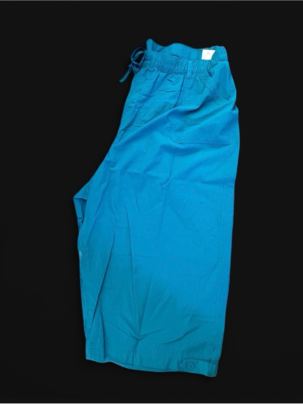 NWT Women’s Erika Capri Pants blue Aquaria Blair Pull-On with pockets Plus 3X